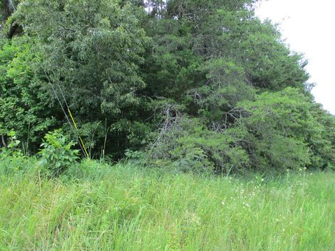 Tiny photo for 8827 Ooltewah Cemetery Road, Ooltewah, TN 37363 (MLS # 1514726)