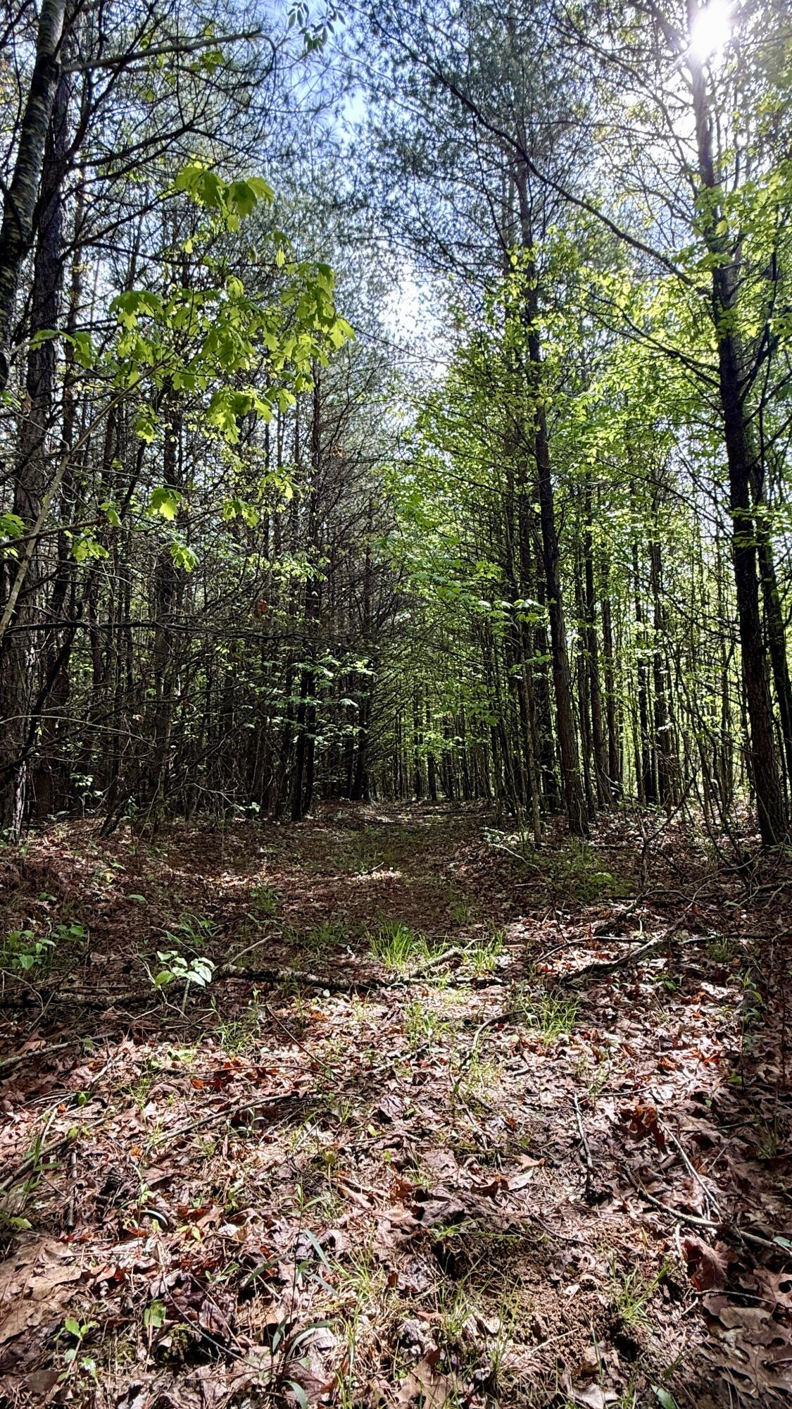 00 Coca Cola Road #LOT 1, Dunlap, Tennessee image 5