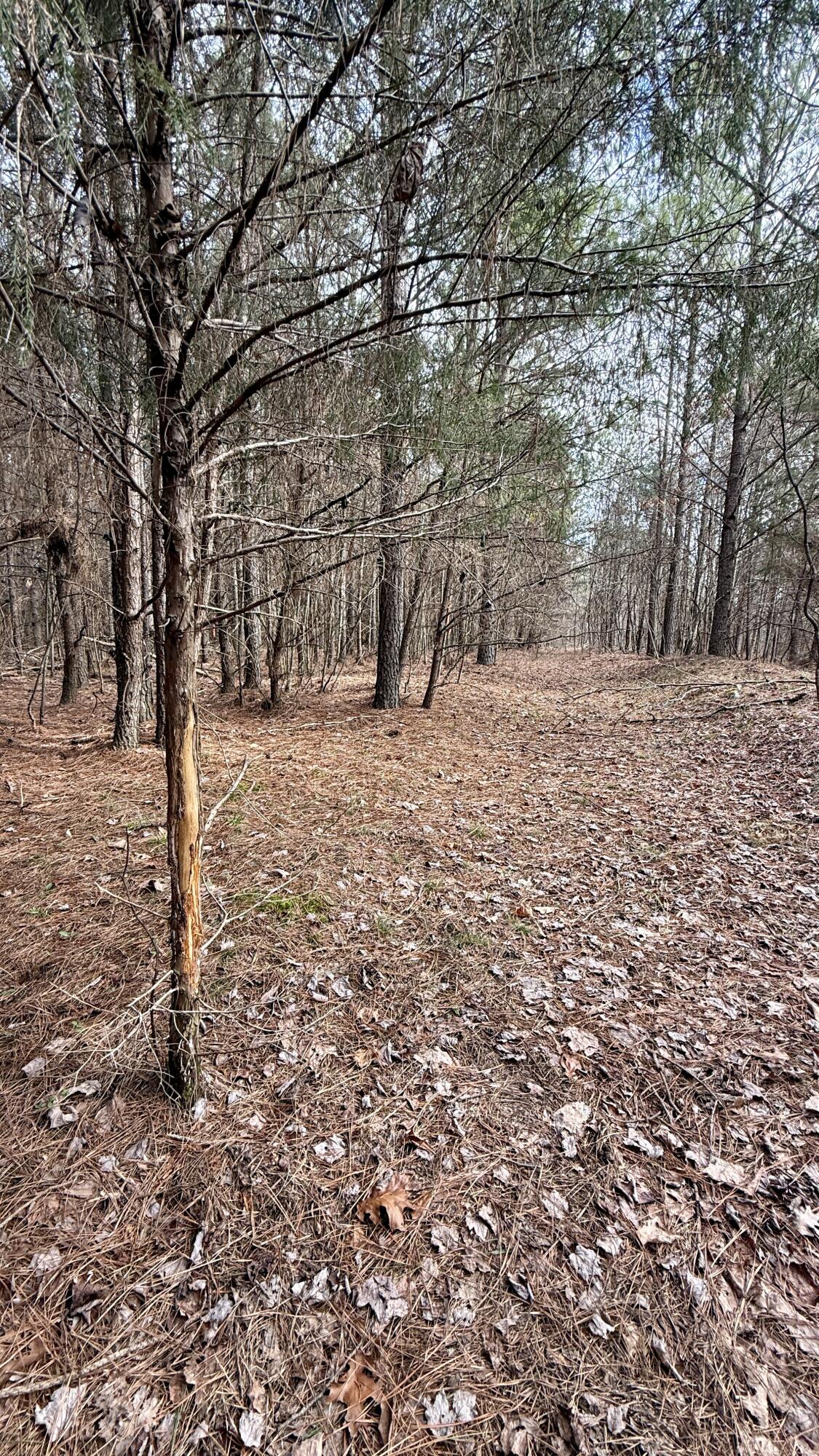 00 Coca Cola Road #LOT 1, Dunlap, Tennessee image 10