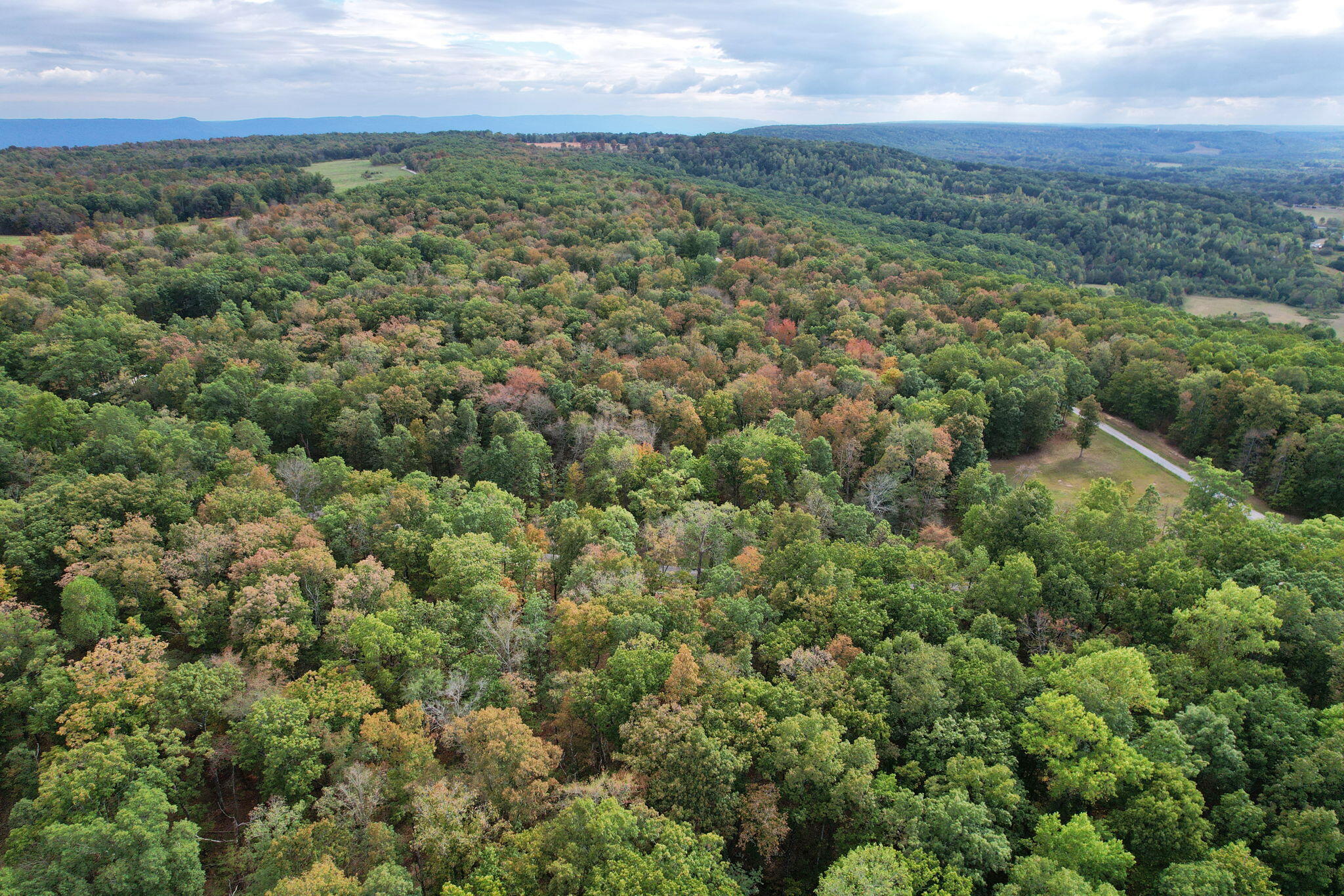 Simmons Rd Road, Pikeville, Tennessee image 12