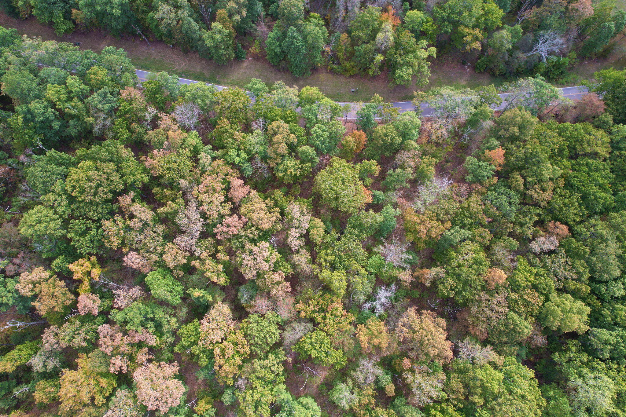 Simmons Rd Road, Pikeville, Tennessee image 15