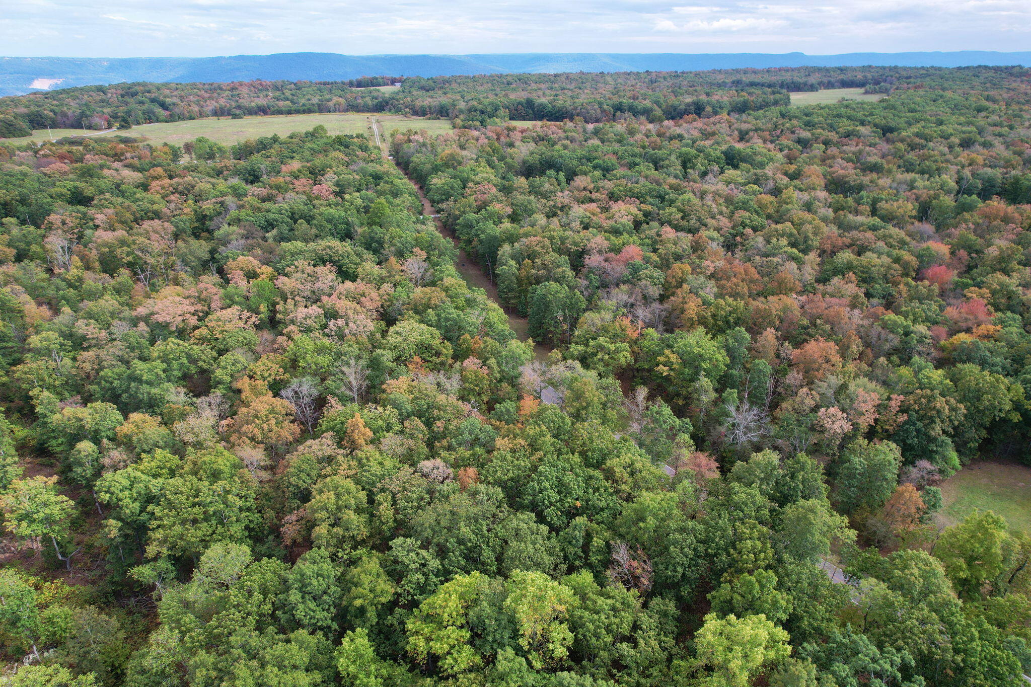 Simmons Rd Road, Pikeville, Tennessee image 9