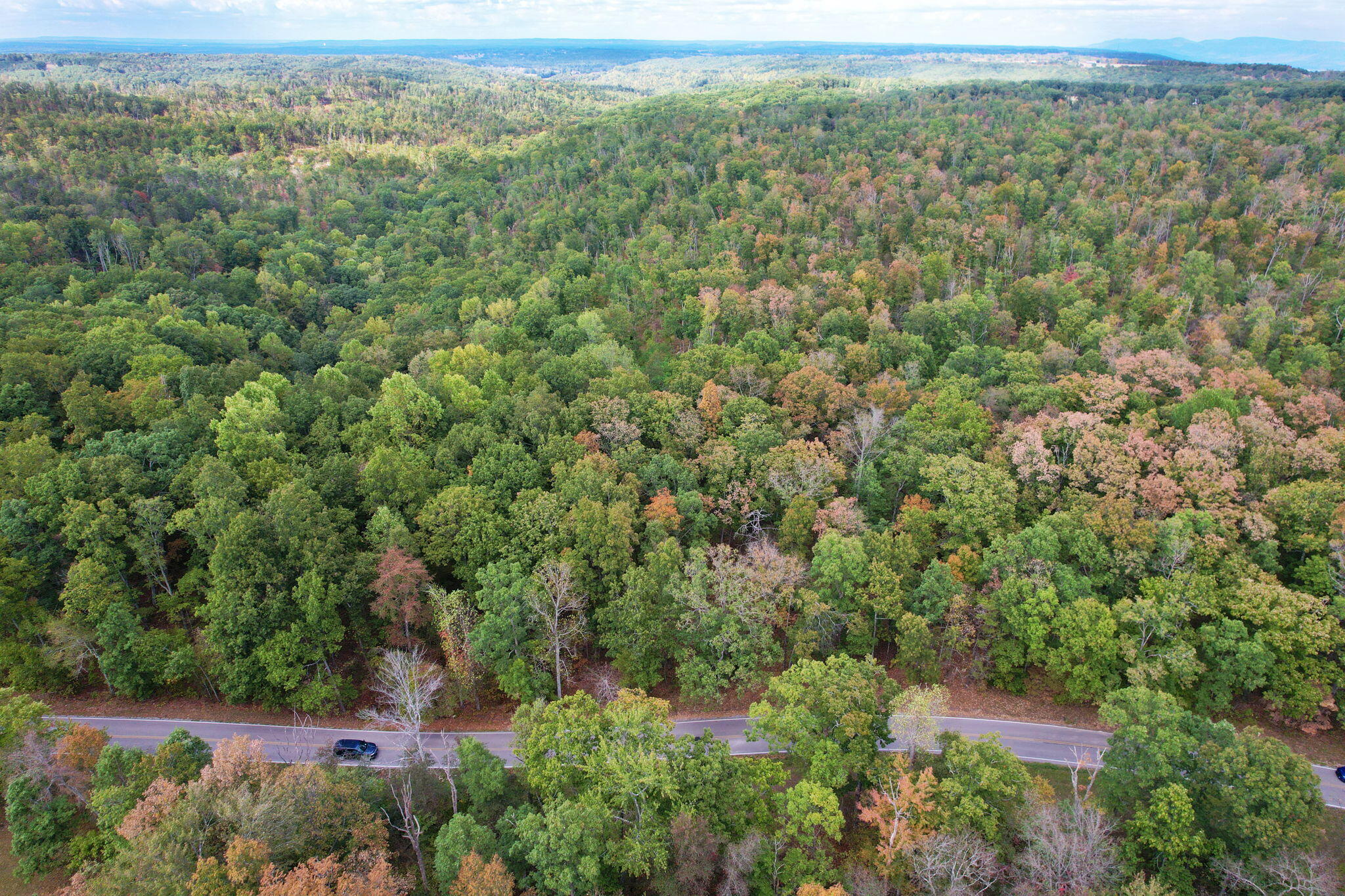 Simmons Rd Road, Pikeville, Tennessee image 3