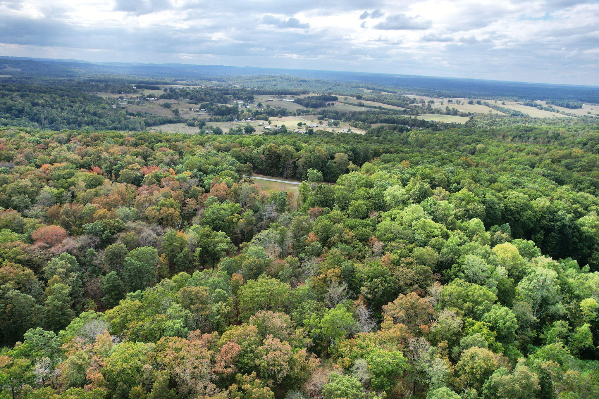 Simmons Rd Road, Pikeville, Tennessee image 13