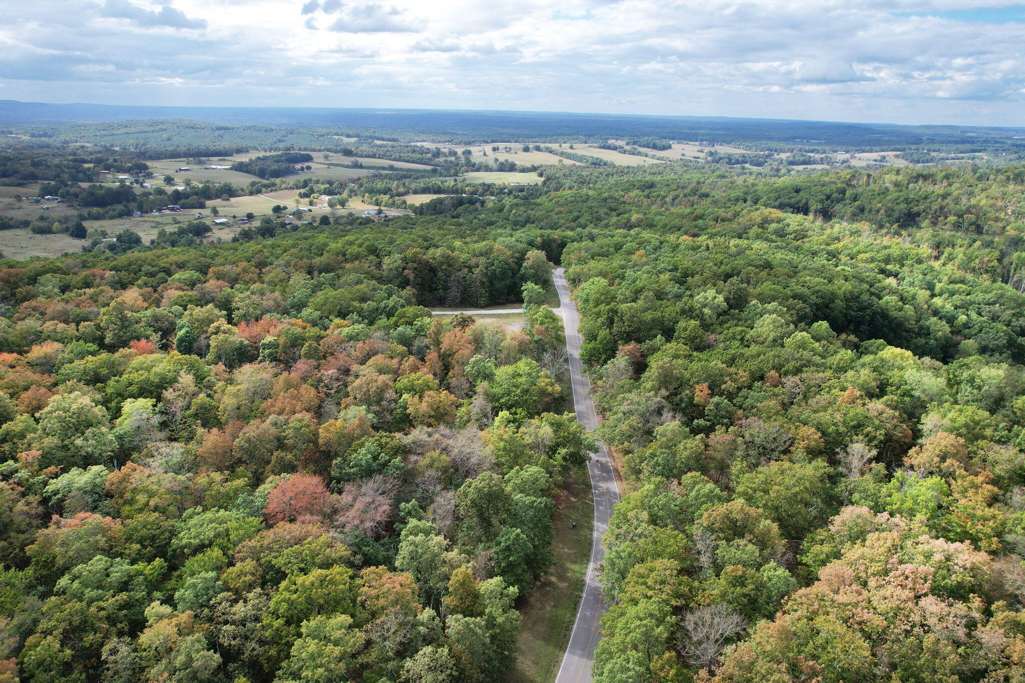 Simmons Rd Road, Pikeville, Tennessee image 14