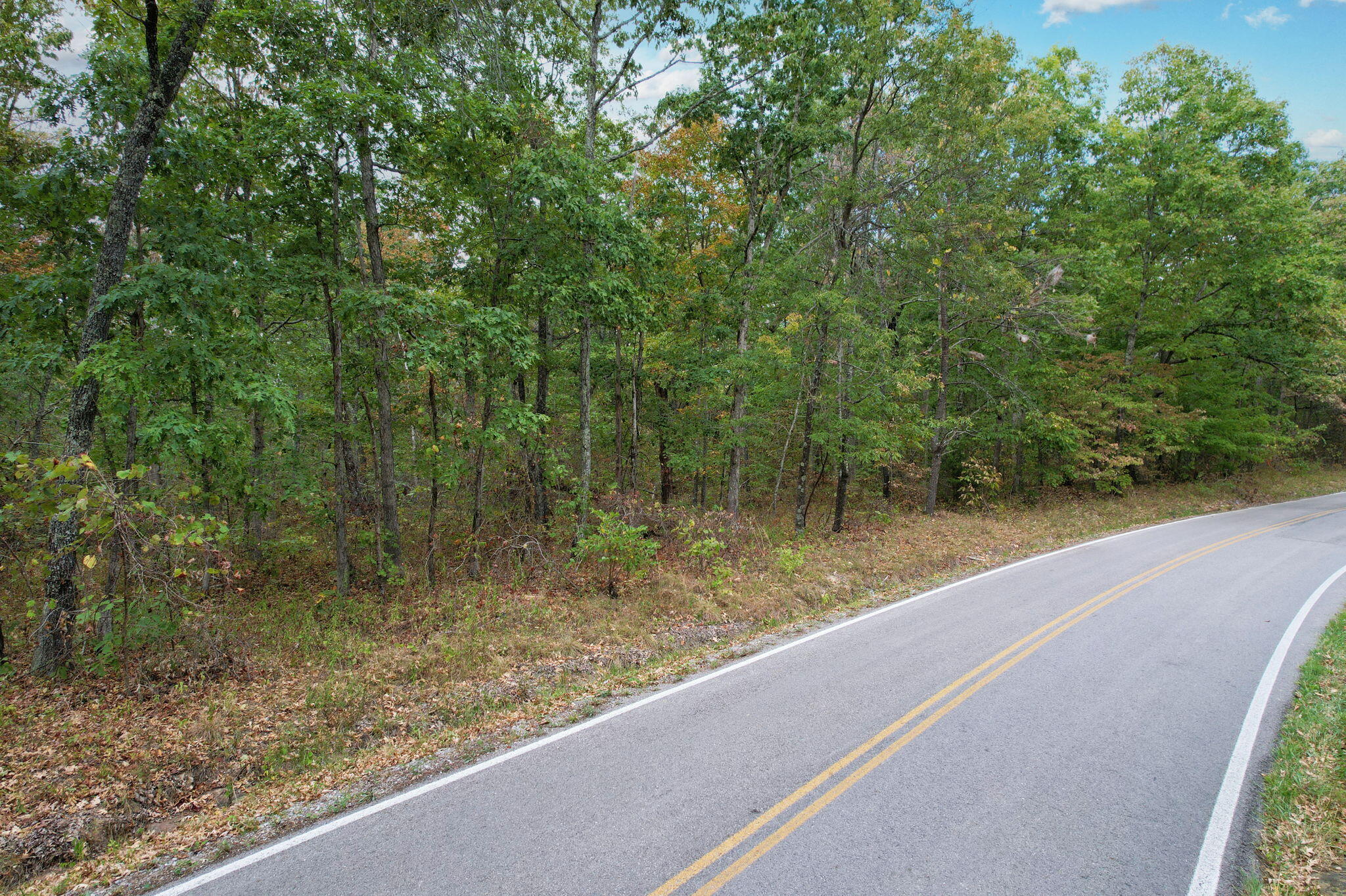 Simmons Rd Road, Pikeville, Tennessee image 2