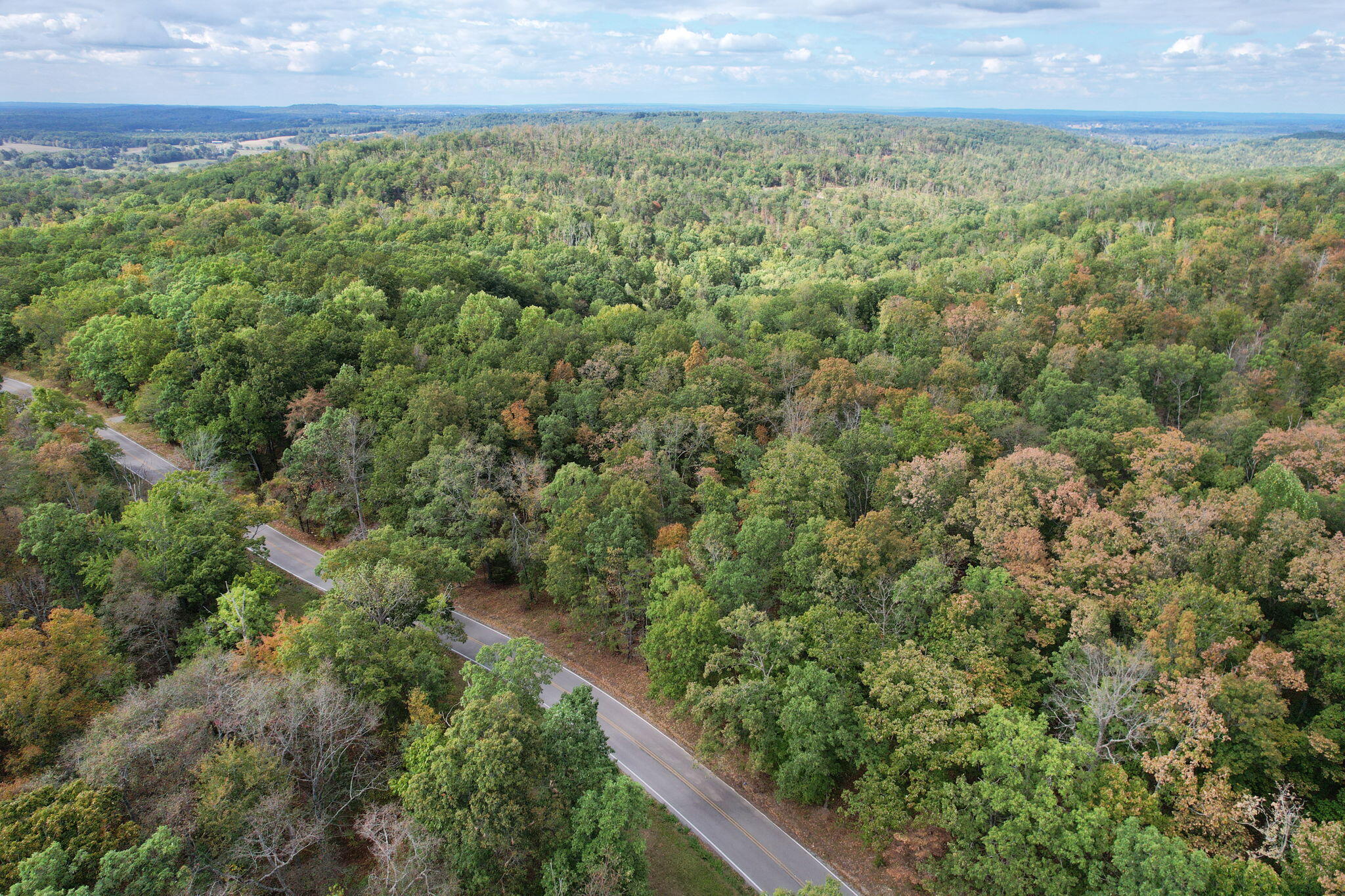 Simmons Rd Road, Pikeville, Tennessee image 16