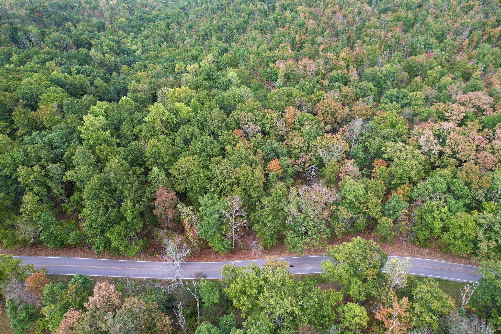 Simmons Rd Road, Pikeville, Tennessee image 4