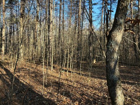 Photo of 250 Timber Ridge; Lot 3 Drive, Kimball, TN 37347 (MLS # 1520730)