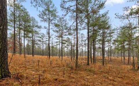 Tiny photo for Lot 1326 Musket Road, Guild, TN 37340 (MLS # 1526483)