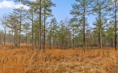 Tiny photo for Lot 1326 Musket Road, Guild, TN 37340 (MLS # 1526483)