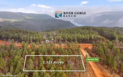Photo of Lot 1326 Musket Road, Guild, TN 37340 (MLS # 1526483)