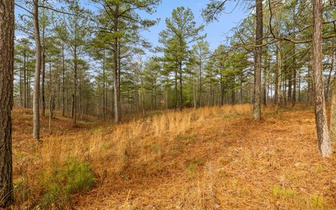 Tiny photo for Lot 1326 Musket Road, Guild, TN 37340 (MLS # 1526483)