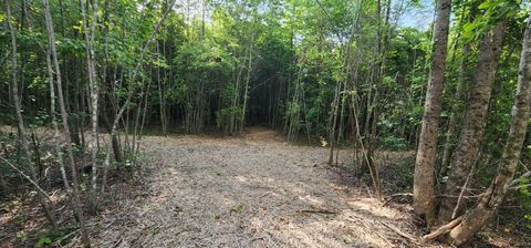 Vacant Land For Sale - Tootley Campbell Road<br/> Monteagle, TN 37356