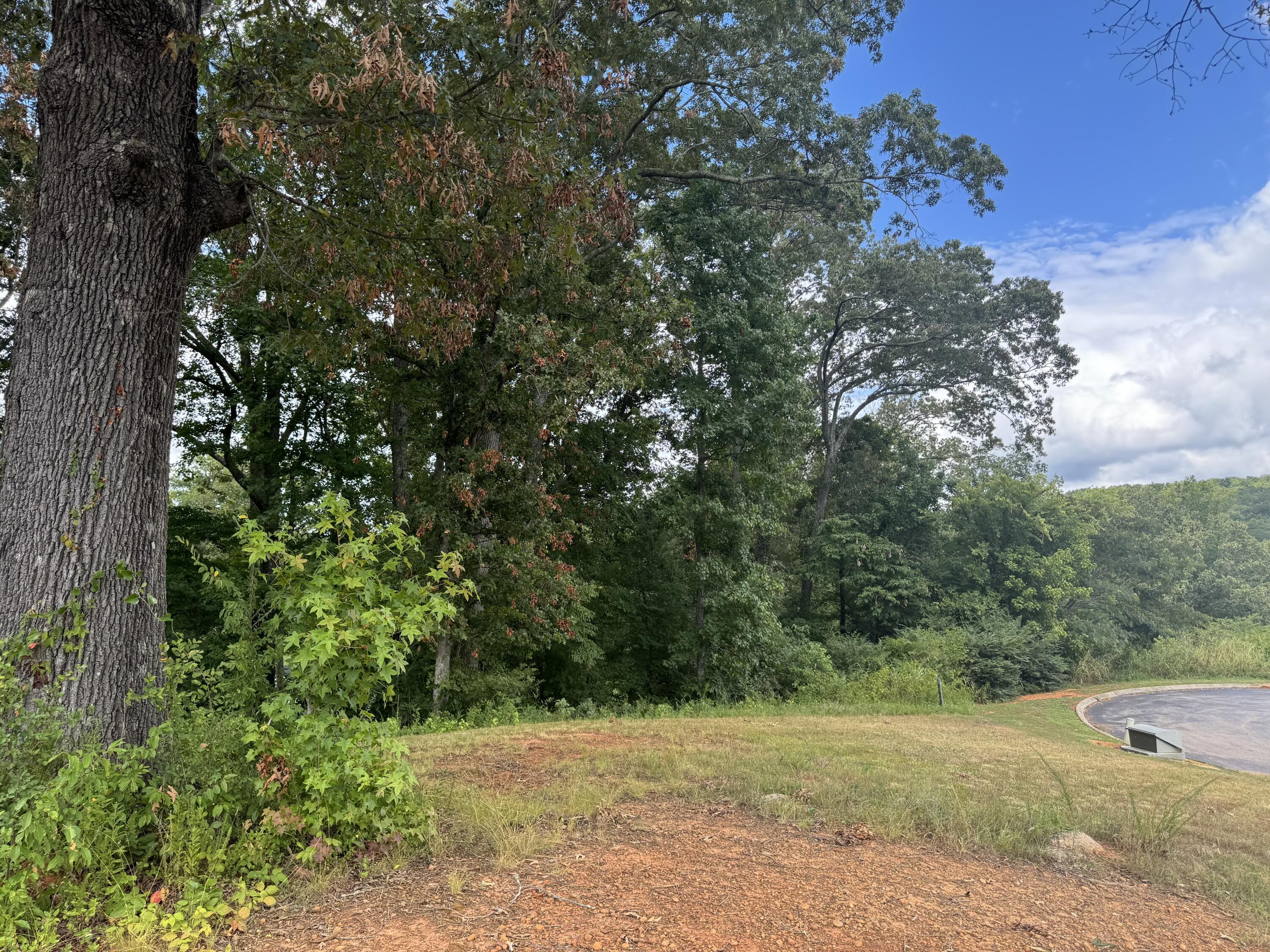 Spinnaker Drive #LOT 153R, Jasper, Tennessee image 9