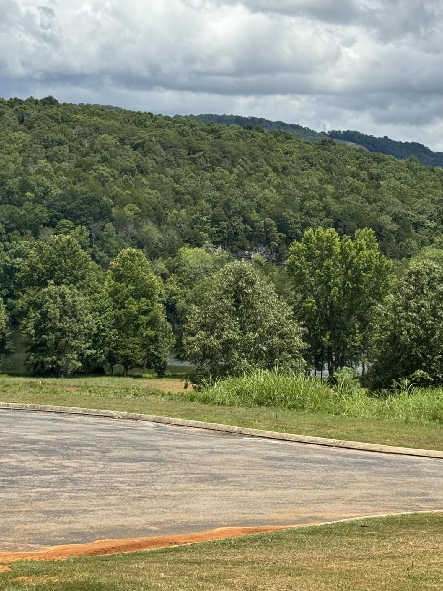 Spinnaker Drive #LOT 153R, Jasper, Tennessee image 6