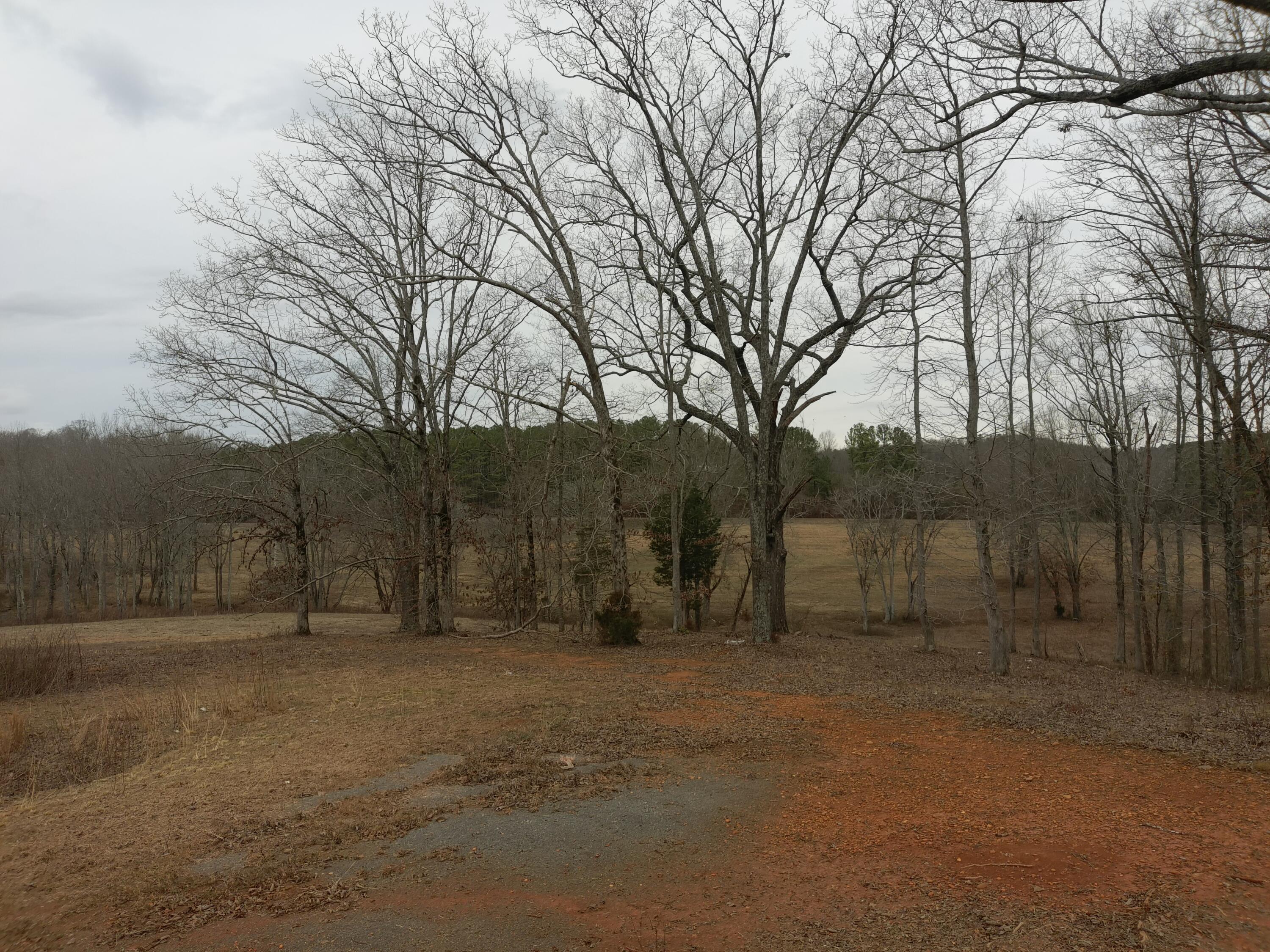 Spinnaker Drive #LOT 153R, Jasper, Tennessee image 19