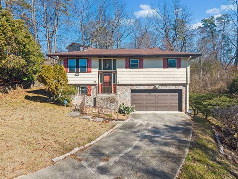 Photo of 311 Branch Drive, Hixson, TN 37343 (MLS # 1528689)