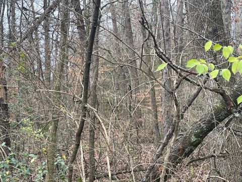 Photo of 4616 Vivian Drive, Chattanooga, TN 37415 (MLS # 1505518)