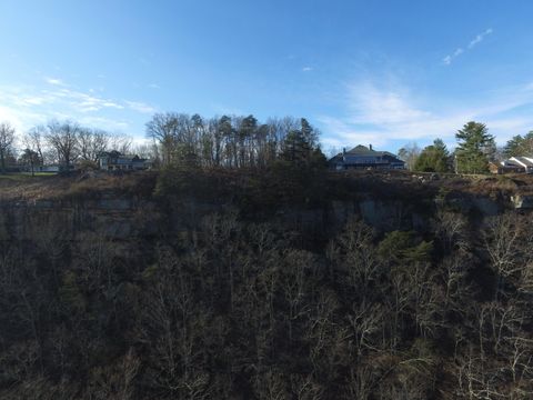 Tiny photo for 0 Forest Park Drive, Signal Mountain, TN 37377 (MLS # 1527995)