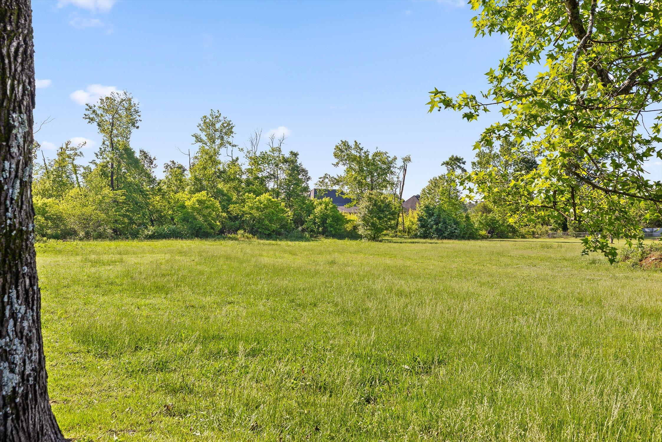 1740 Gray Road, Chattanooga, Tennessee image 15