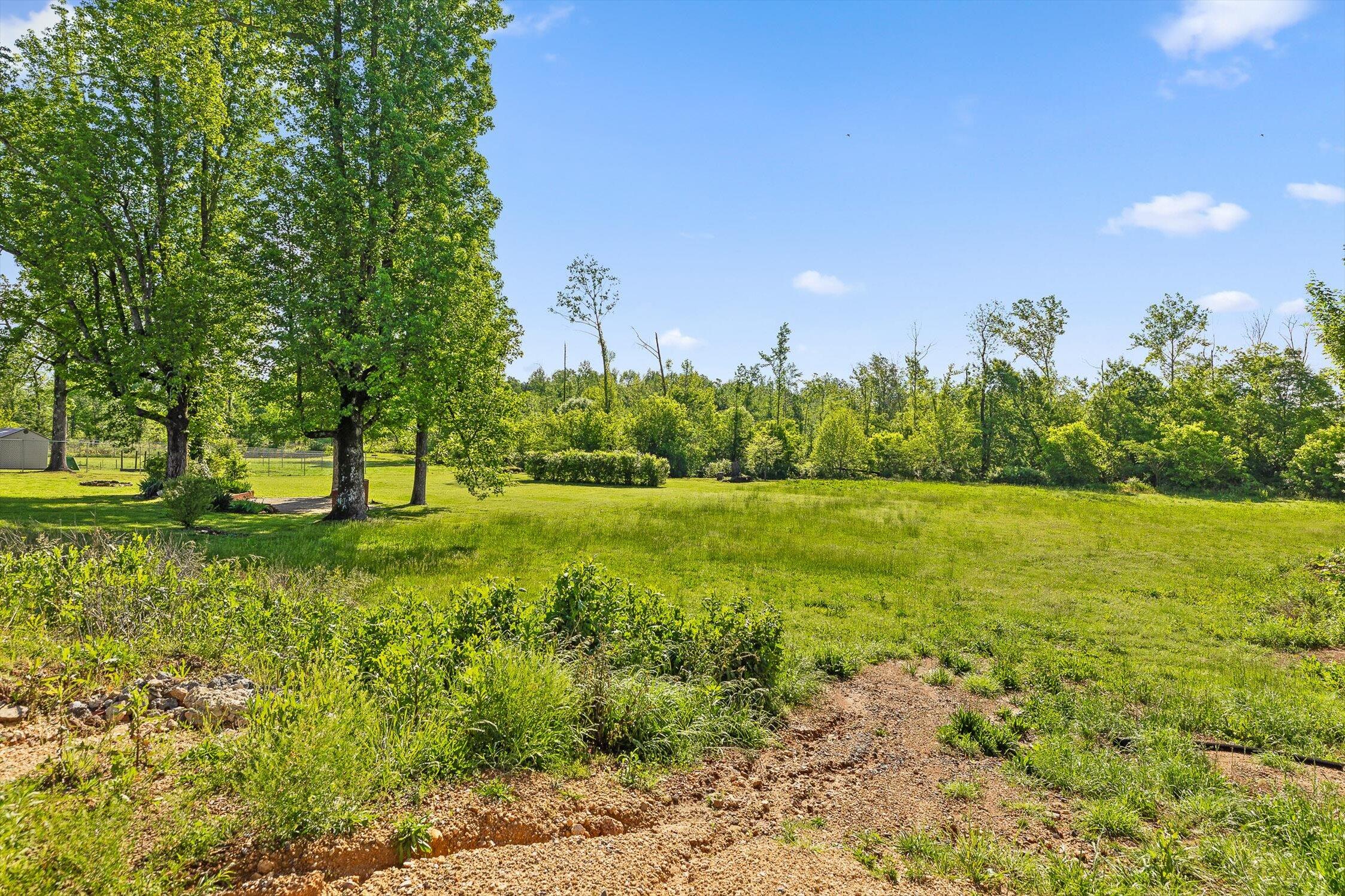 1740 Gray Road, Chattanooga, Tennessee image 5