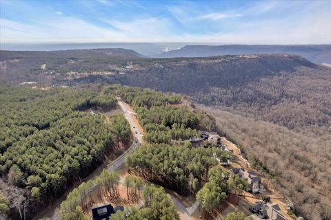 Tiny photo for 155 Moonshine Drive, Jasper, TN 37347 (MLS # 1527584)