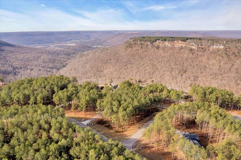 Tiny photo for 155 Moonshine Drive, Jasper, TN 37347 (MLS # 1527584)