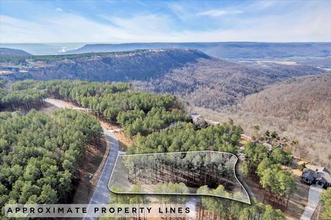 Photo of 155 Moonshine Drive, Jasper, TN 37347 (MLS # 1527584)