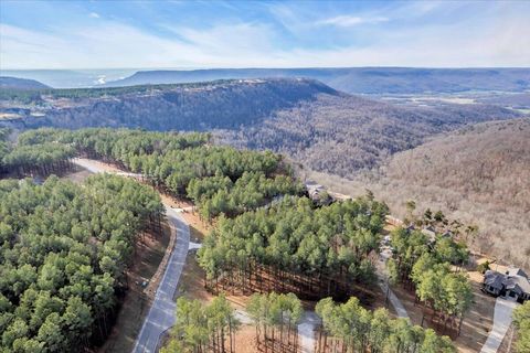Tiny photo for 155 Moonshine Drive, Jasper, TN 37347 (MLS # 1527584)