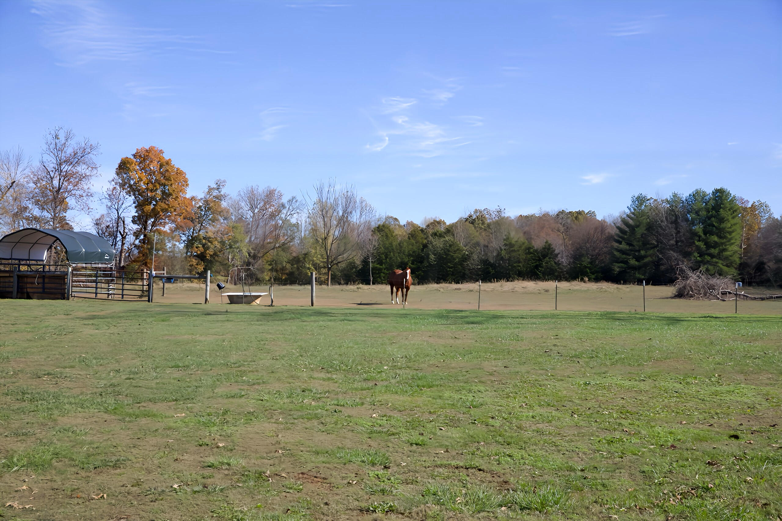 3836 Decherd Estill Road, Winchester, Tennessee image 8