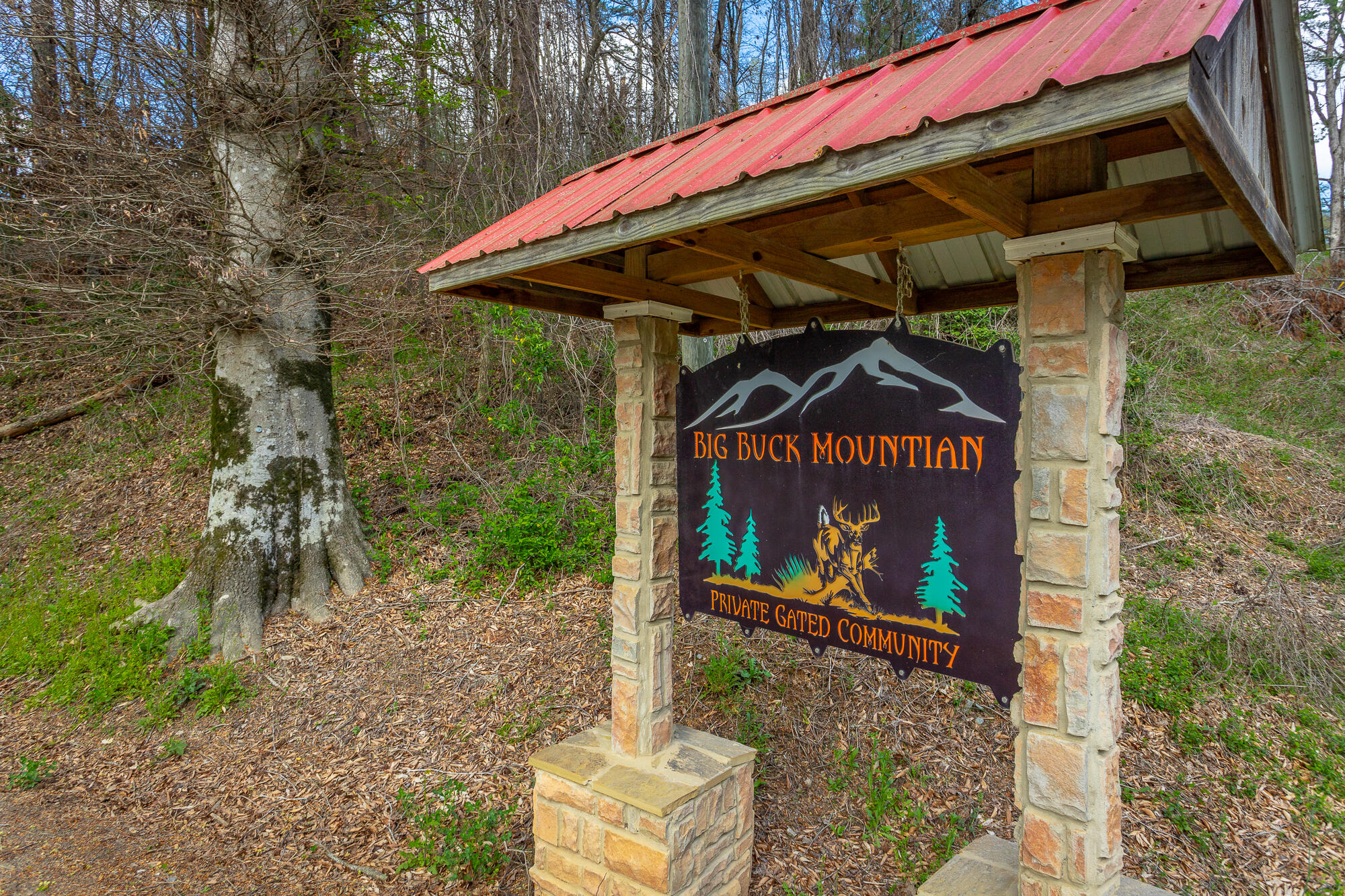 00 Grace Court, Ellijay, Georgia image 26