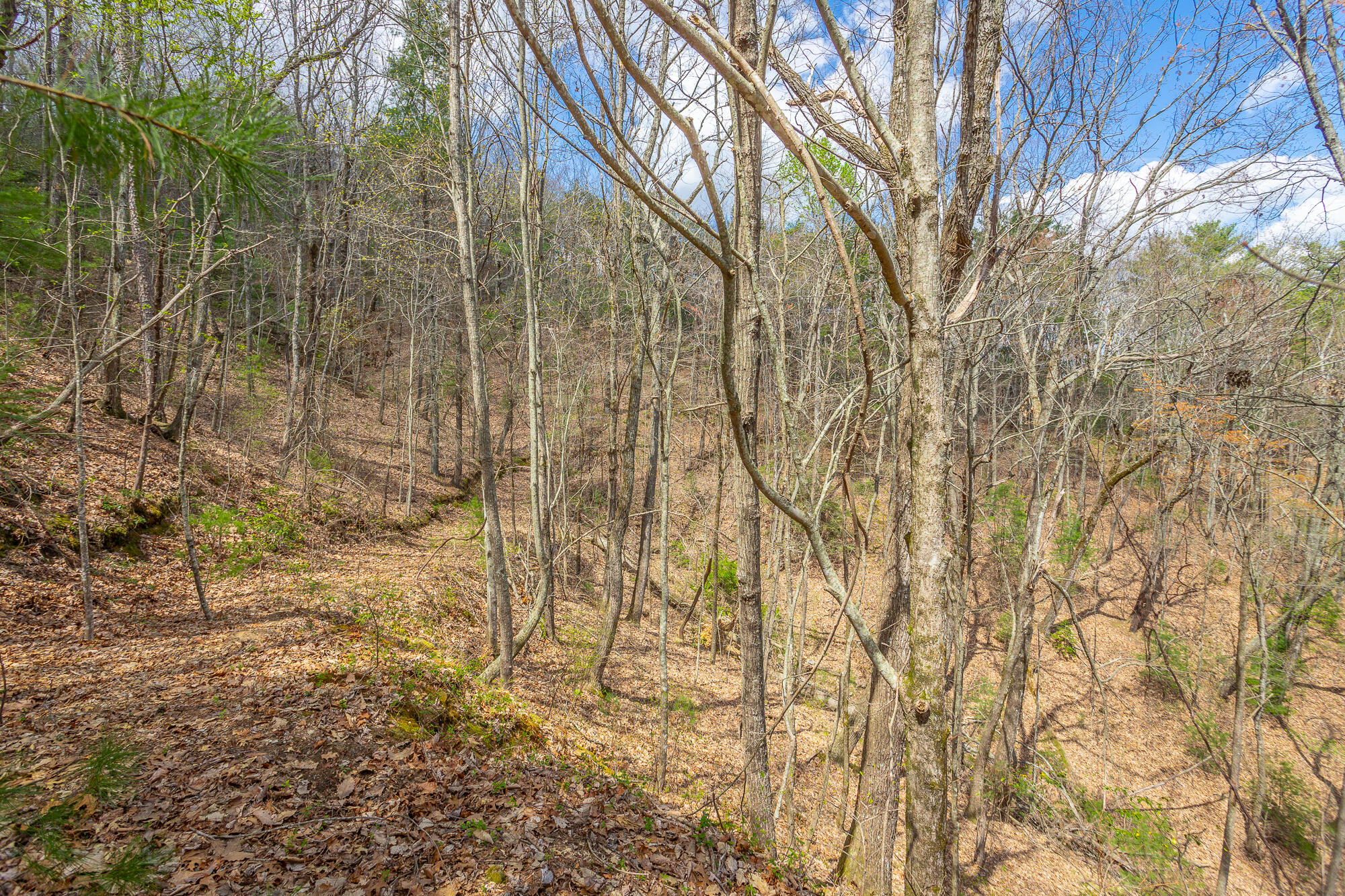 00 Grace Court, Ellijay, Georgia image 4