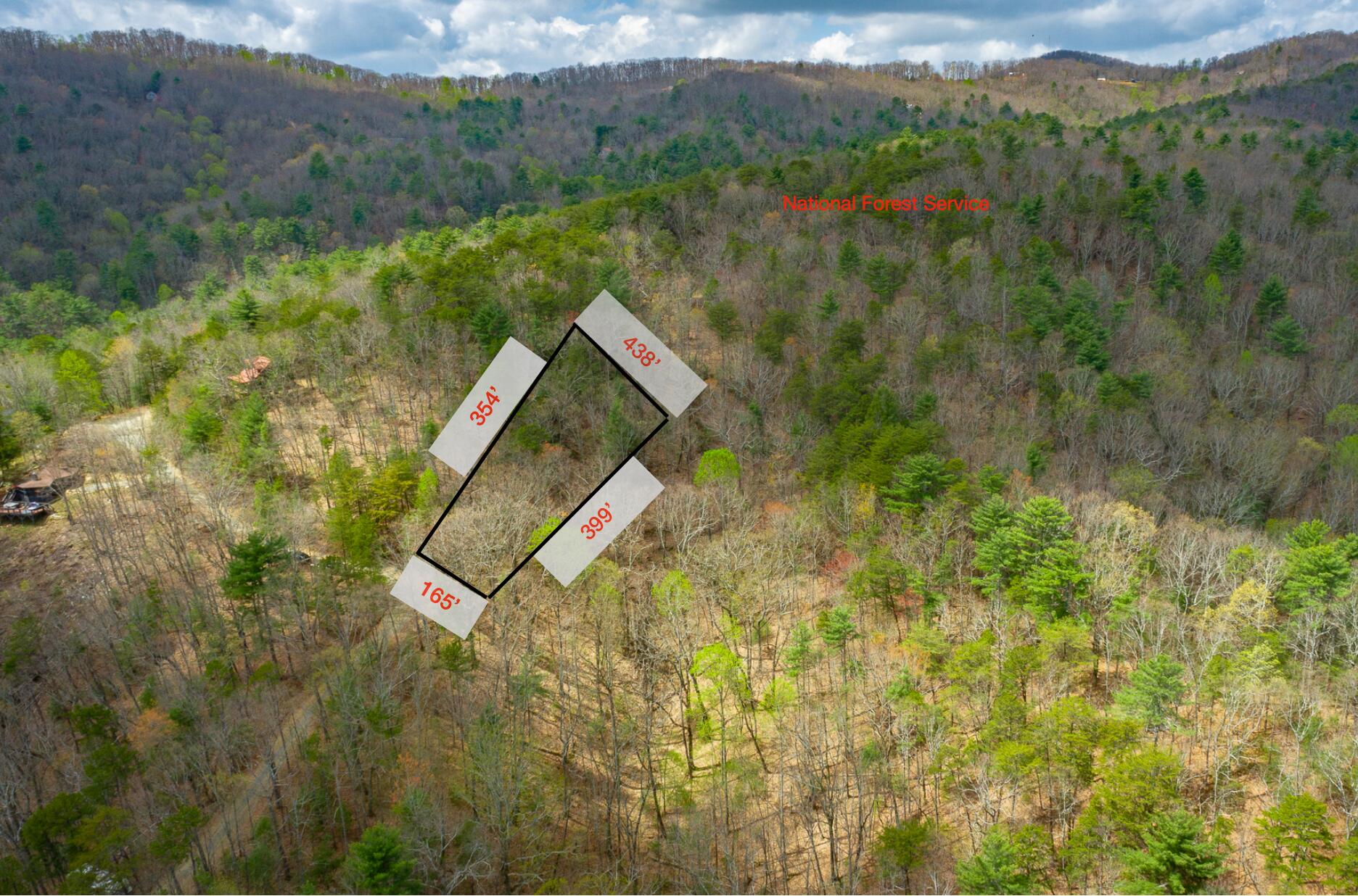 00 Grace Court, Ellijay, Georgia image 3