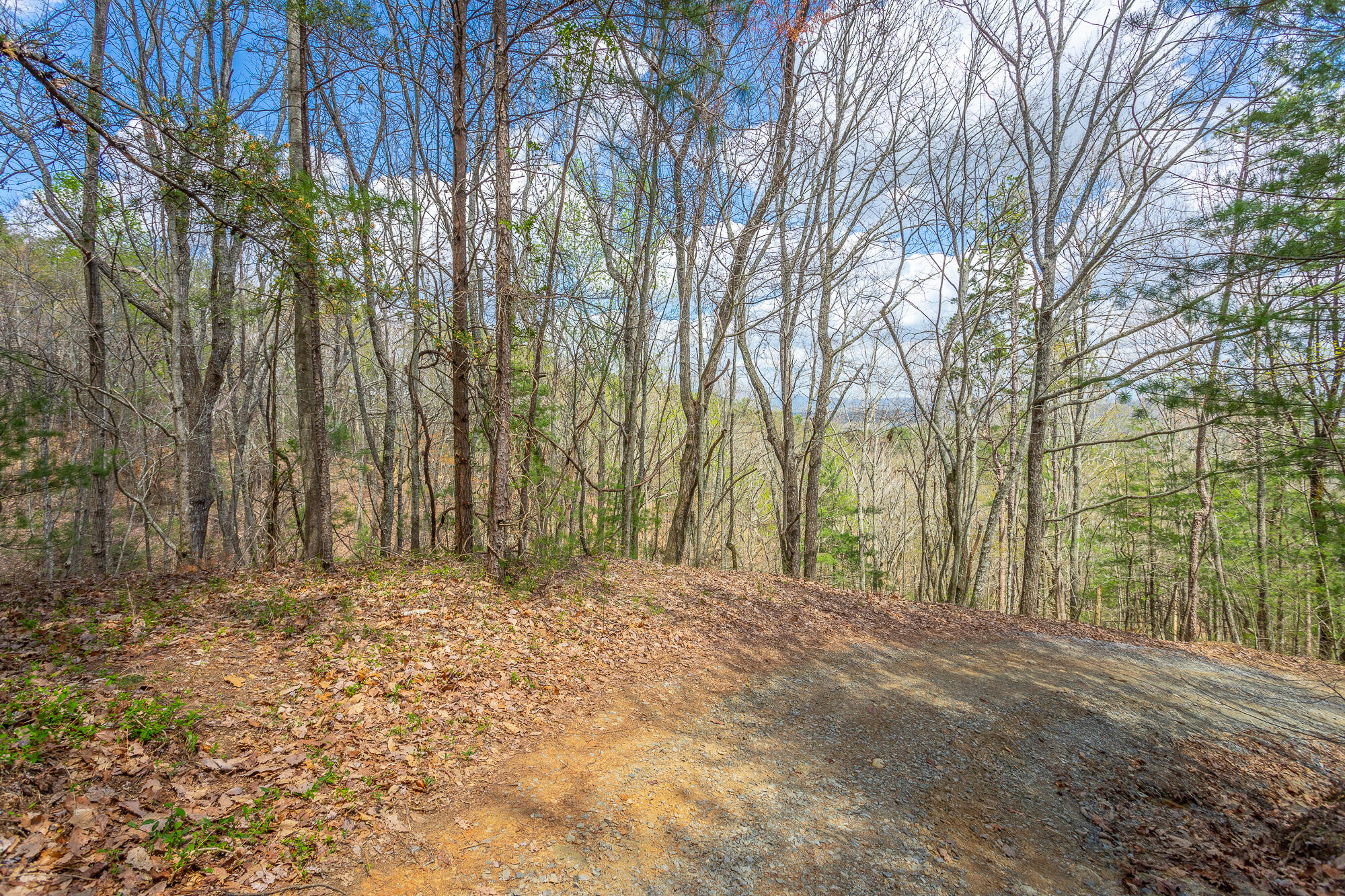 00 Grace Court, Ellijay, Georgia image 16