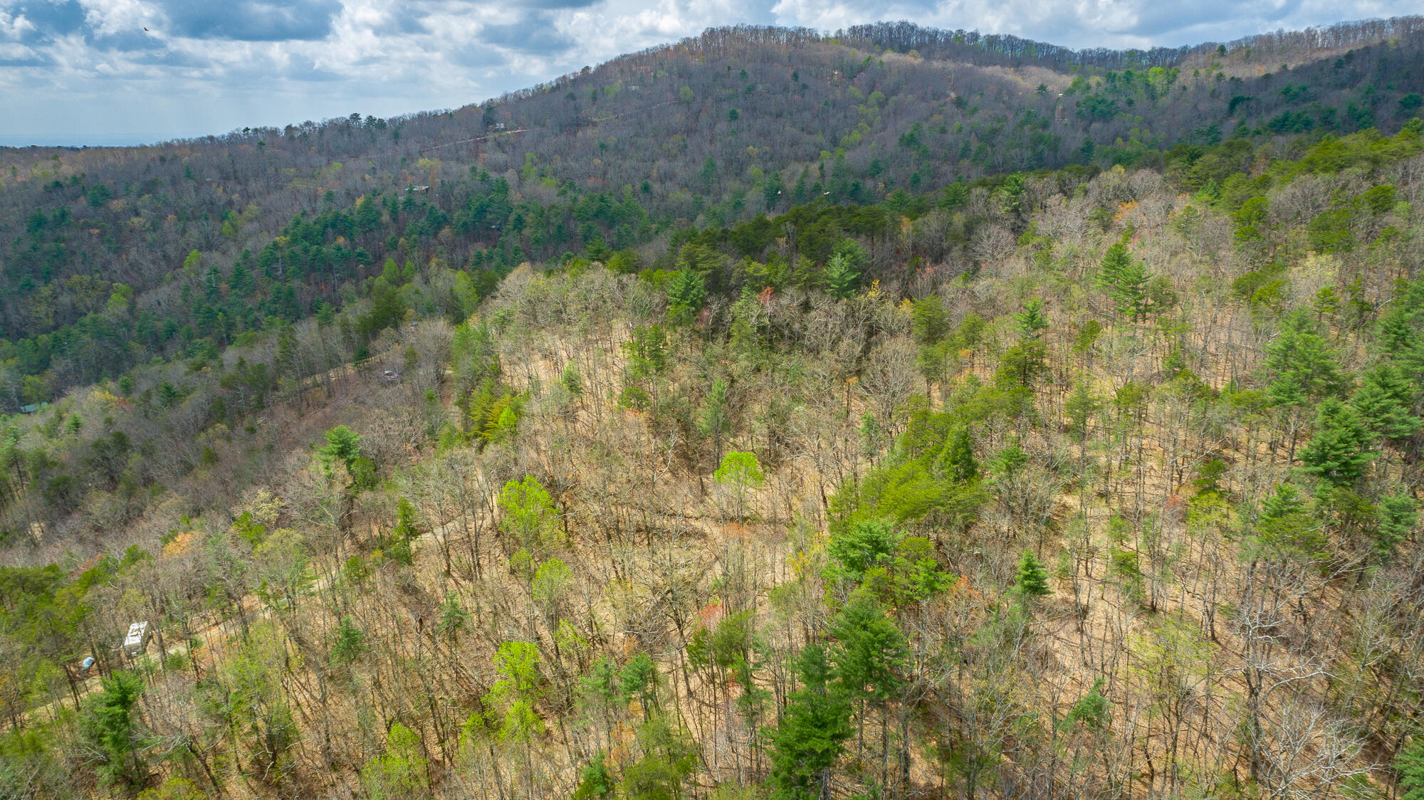 00 Grace Court, Ellijay, Georgia image 9