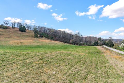 Tiny photo for Lot 8 N Nopone Valley Road, Decatur, TN 37322 (MLS # 1530384)