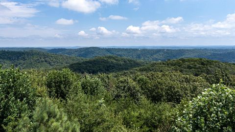 Photo of 8346 Balata Drive, Ooltewah, TN 37363 (MLS # 1519155)