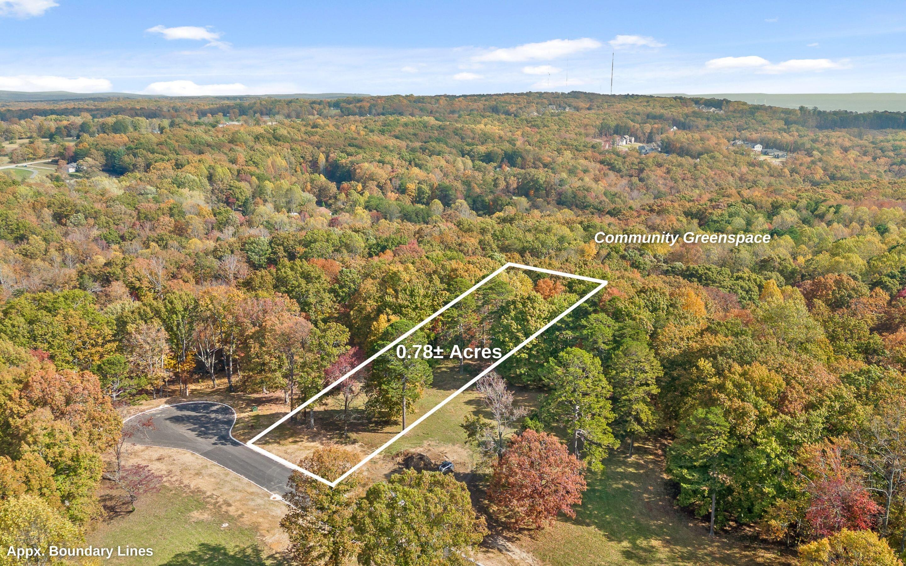 1812 Sawyer Farms Lane, Signal Mountain, Tennessee image 17