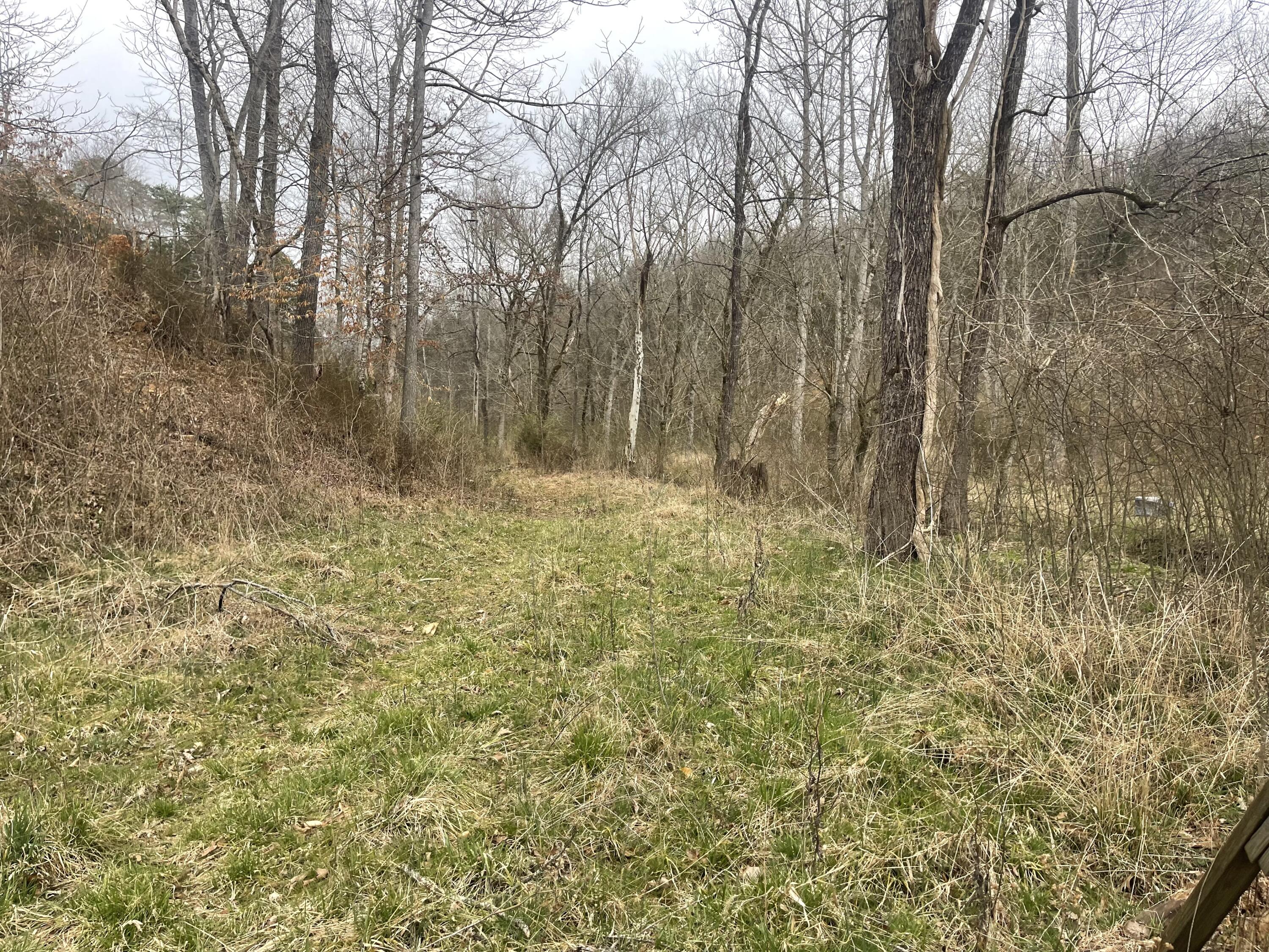 15634 Old State Highway 28, Pikeville, Tennessee image 18