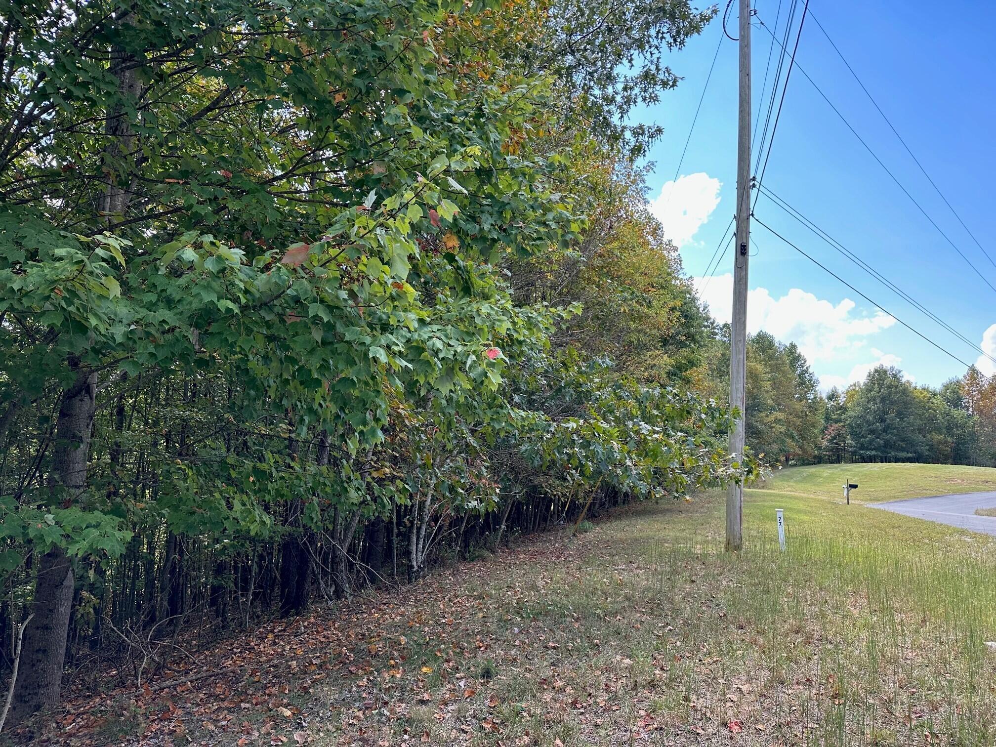 Lot 77 Thunder Ridge Drive #77, South Pittsburg, Tennessee image 9