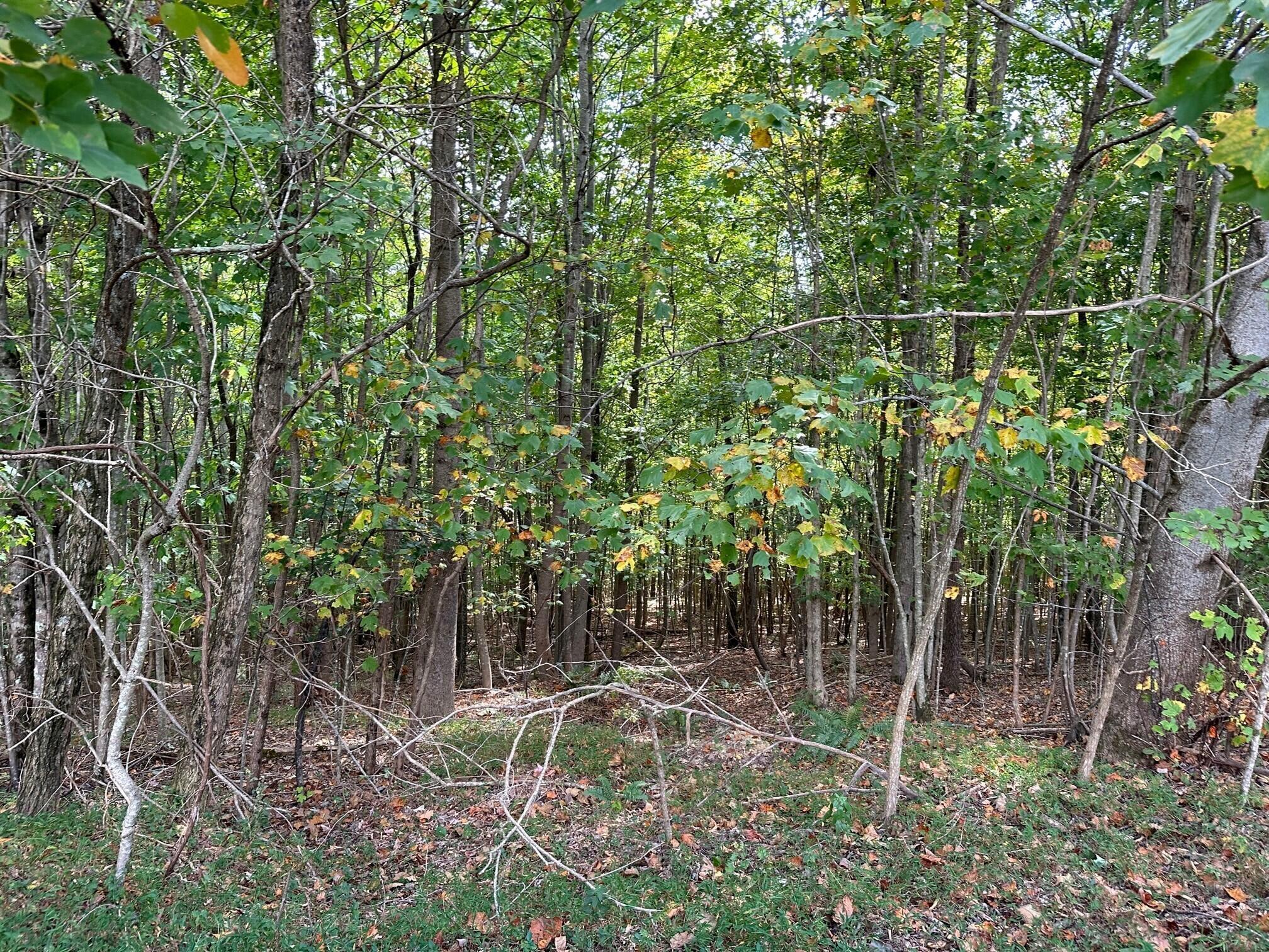 Lot 77 Thunder Ridge Drive #77, South Pittsburg, Tennessee image 6