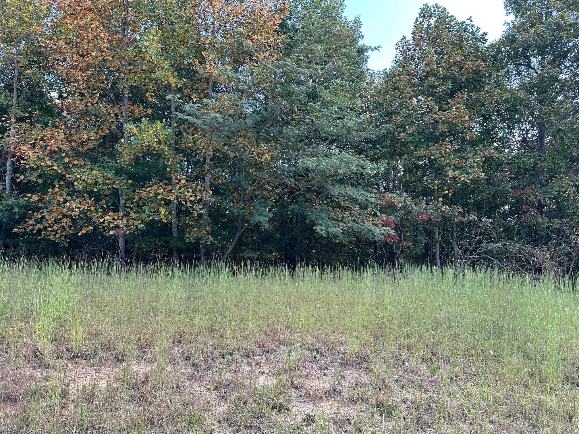 Lot 77 Thunder Ridge Drive #77, South Pittsburg, Tennessee image 7