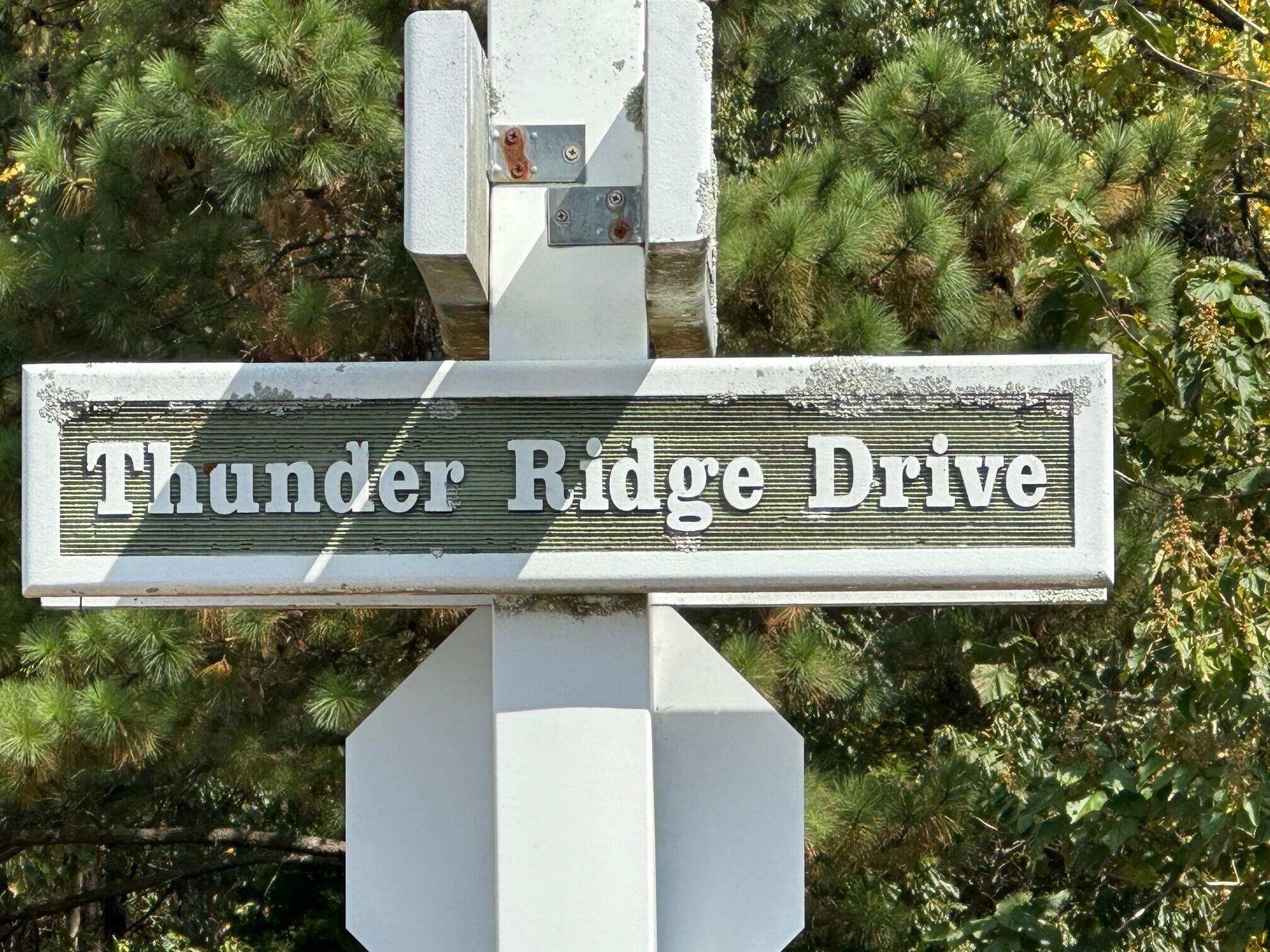 Lot 77 Thunder Ridge Drive #77, South Pittsburg, Tennessee image 10