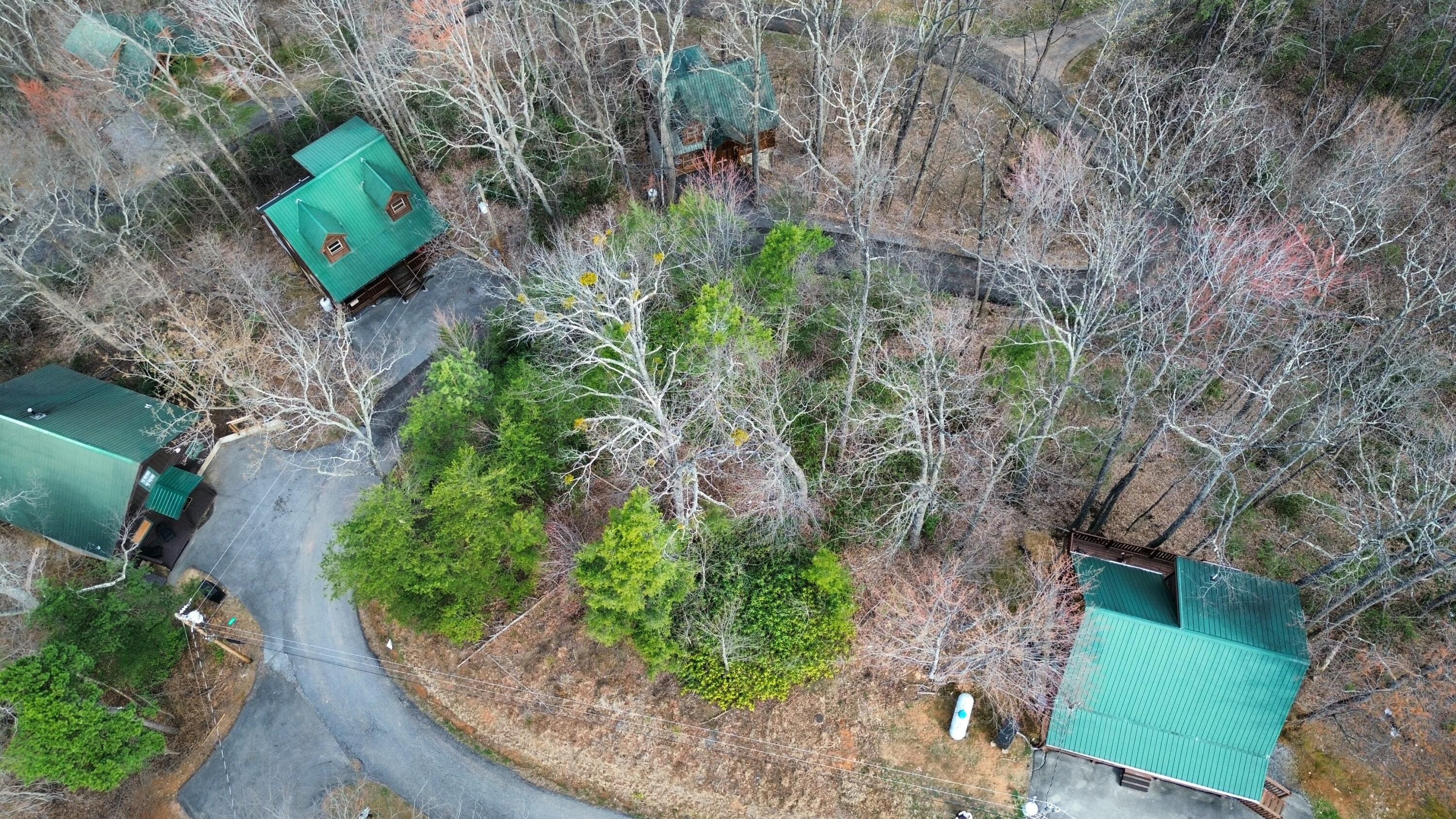 N School House Gap Road, Sevierville, Tennessee image 2
