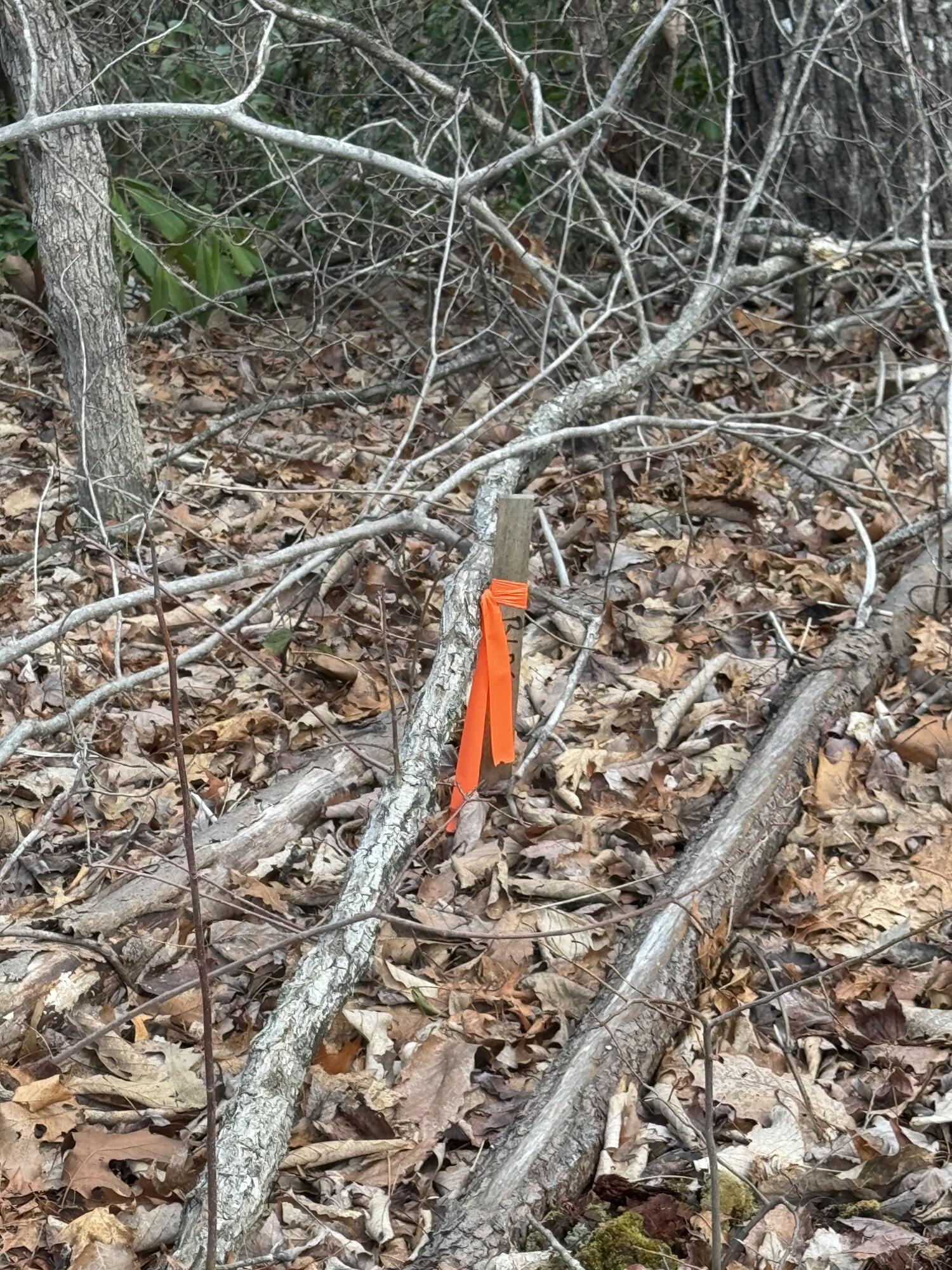 N School House Gap Road, Sevierville, Tennessee image 14