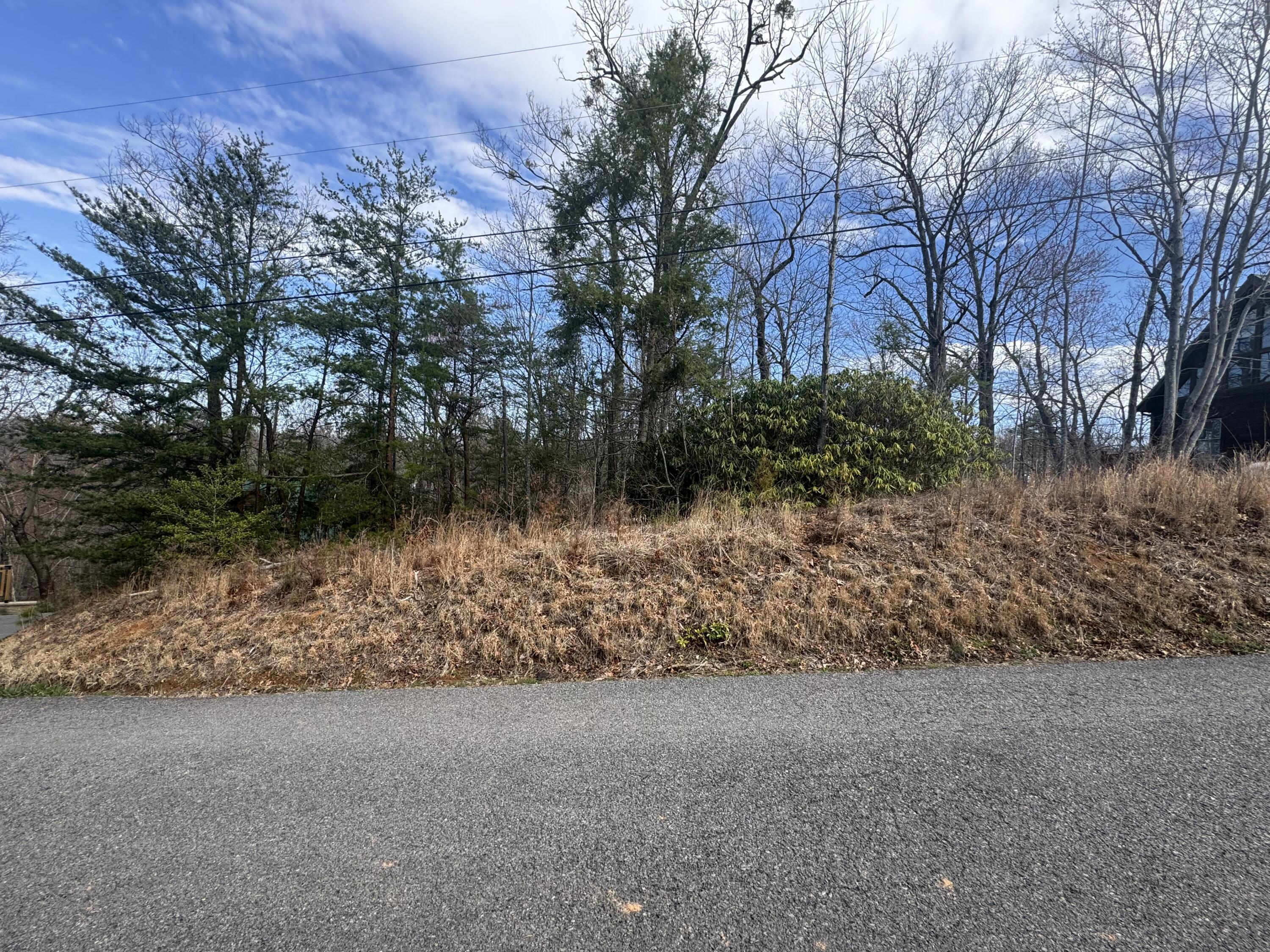 N School House Gap Road, Sevierville, Tennessee image 10