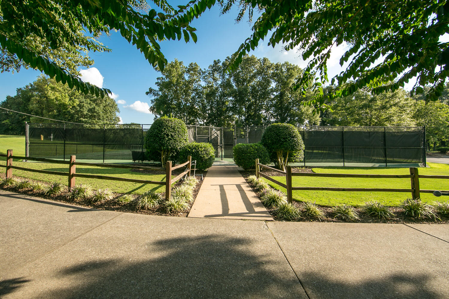 8011 Dancing Fern Trail, Chattanooga, Tennessee image 38