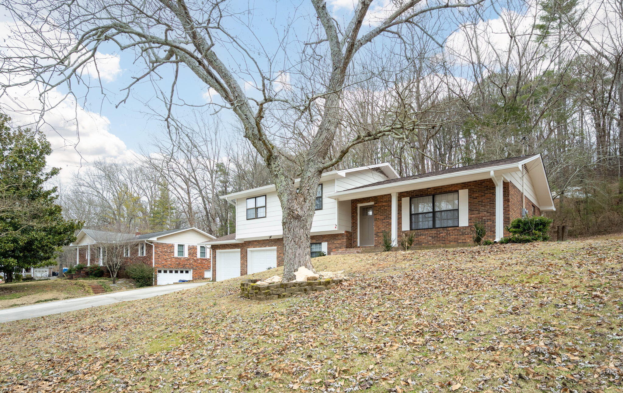 3764 Hilldale Drive, Cleveland, Tennessee image 22