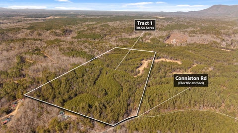Vacant Land For Sale - TR 92-1 Conniston Road<br/> Chatsworth, GA 30705